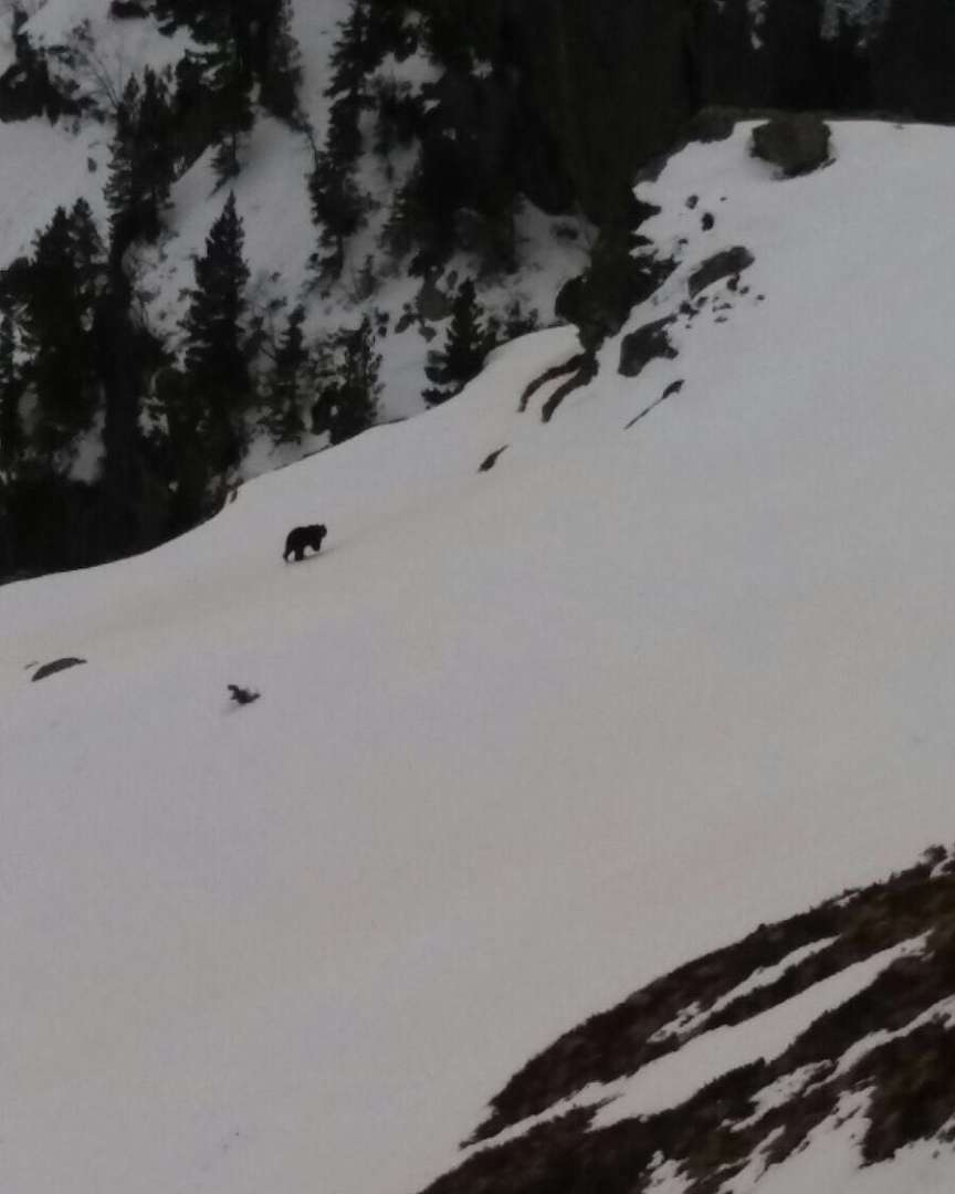 Imatge: Conselh Generau d'Aran